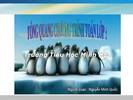 tong quang toan lop 5